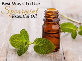 Best Ways to Use Spearmint Essential Oil
